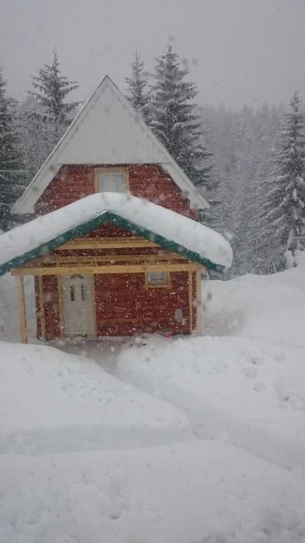 Дома для отпуска Small Montenegro Жабляк