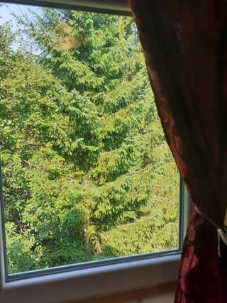 Дома для отпуска Small Montenegro Жабляк Дом для отпуска-18