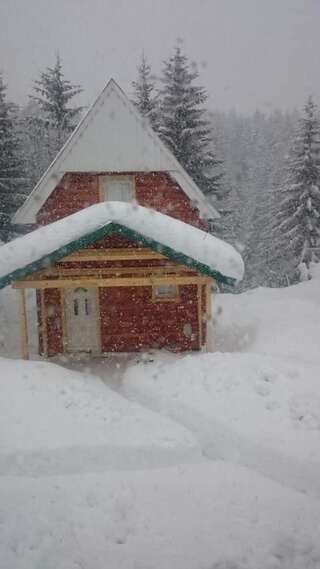 Дома для отпуска Small Montenegro Жабляк Дом для отпуска-21