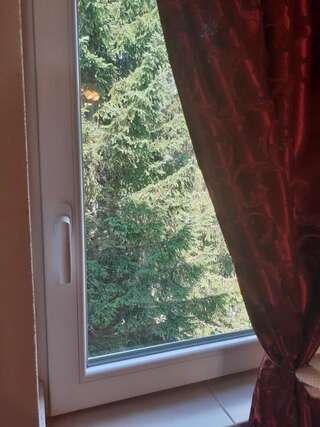 Дома для отпуска Small Montenegro Жабляк Дом для отпуска-26