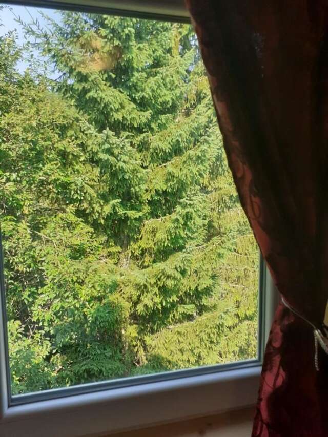 Дома для отпуска Small Montenegro Жабляк-20