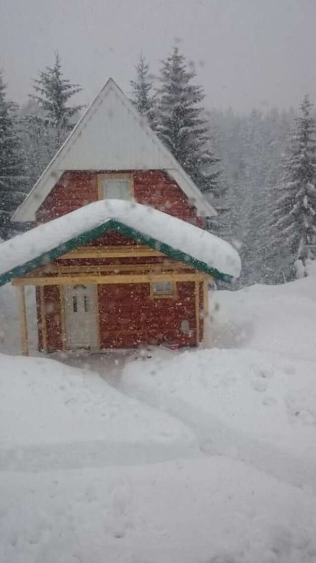 Дома для отпуска Small Montenegro Жабляк-39